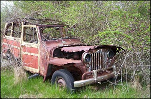 Rural Bicuda-jeep_wagon.jpg