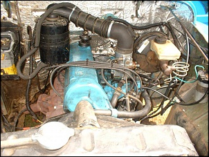 febre da ferrugem-dscf0035.jpg