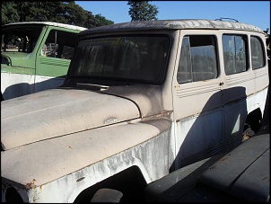 Willys Pata Choca-sdc11506.jpg