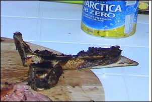 febre da ferrugem-osso-01.jpg
