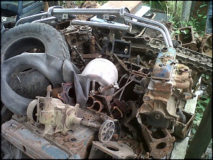 -img00143-20111024-1413.jpg