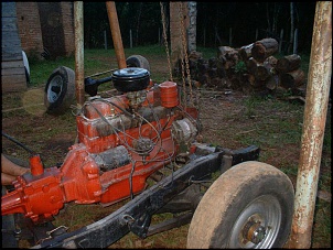 febre da ferrugem-dscf0035.jpg