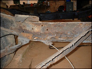 febre da ferrugem-dscf0083.jpg
