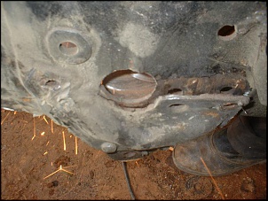 febre da ferrugem-dscf0092.jpg