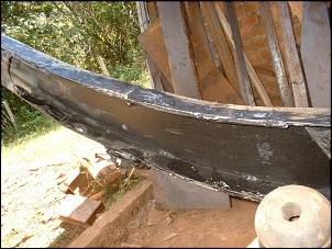 febre da ferrugem-dscf0167.jpg
