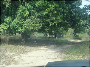 Primeira F75...-dsc00891.jpg