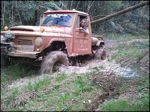 Willys F-75 1974 &quot;SAMU&quot;-1233404_10201713493909923_446688893_n.jpg