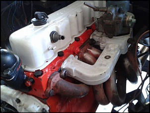 Willys 1965 ; Iniciando os Trabalhos-1625520_417642551702443_980391450_n.jpg
