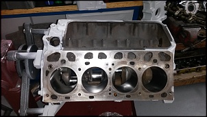 F 85 v8 cachorro louco-20140529_174910.jpg