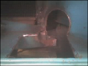 -03-05-06_1739_311.jpg