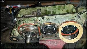 F 85 v8 cachorro louco-20150612_162324.jpg