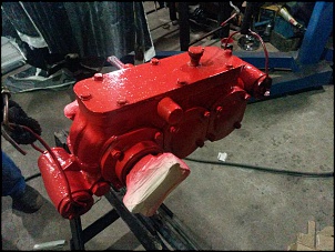 F 85 v8 cachorro louco-20151022_201232.jpg