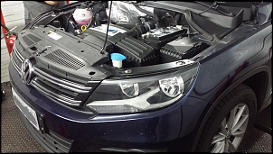 -tiguan-dina-01.jpg