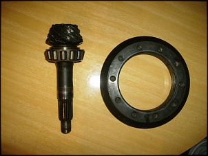 -coroa-e-pinhao-005.jpg