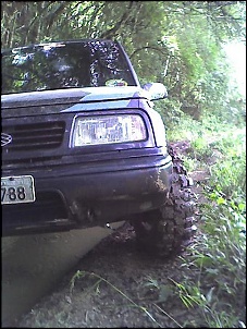 Tatu Pneus . . .-photo_030708_006.jpg