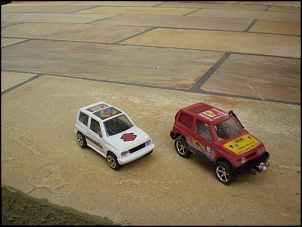Vitara miniatura-p1010001.jpg