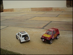 Vitara miniatura-p1010002.jpg