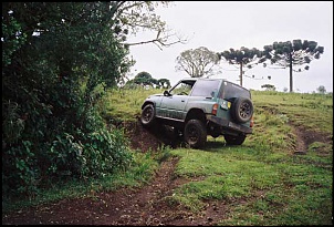 Vitara muito duro!!-cabrito-torcendo_169.jpg