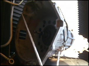 -caca5610029.jpg