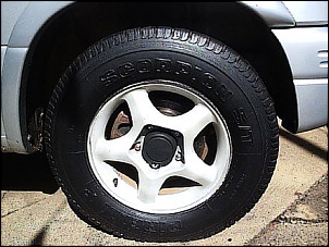 Calotinha do Vitara-ca60193f1ce907bb8ab3a488dd9cf94e.jpg