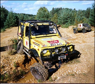 -tim2_105.jpg