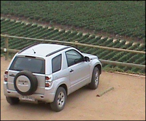 GRAND VITARA-dsc00032-copia.jpg