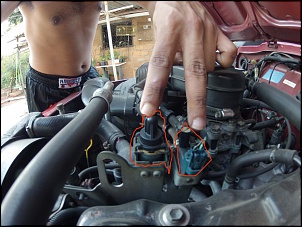 -egr-.jpg
