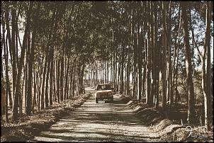 Melhor foto do seu Jimny-img_2271.jpg