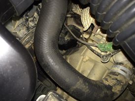 Suzuki SX4-12026566_889208891165906_1430558894_n.jpg