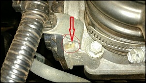-corpo-borboleta-gv.jpg