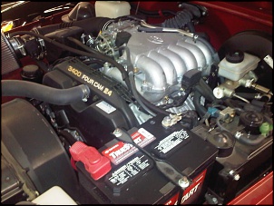 Teste-image.jpg