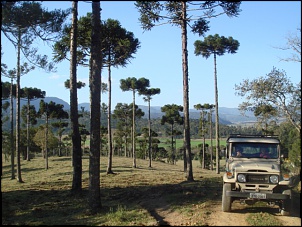 Fotos de Bands-curitiba-caminho-dos-principes-e-serra-catarinense-2008-224.jpg
