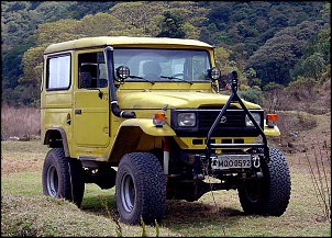 OM 364 Turbo Intercooler + Dif 12x35 + Bf 35&quot; All Terrain-jurema.jpg