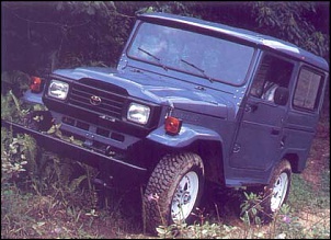 Novato em 4x4-bandeirante-92-bj50lv-1-.jpg