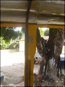 -ss100172.jpg