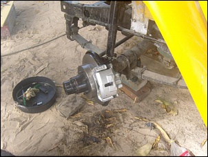 -ss100623.jpg