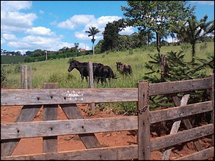 como fazer p/ nao perder a roda livre-340903_268045109931842_100001790647404_624950_1691658098_o.jpg