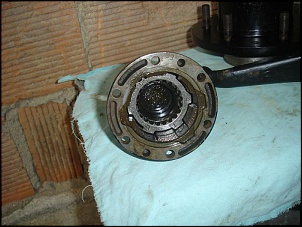 Roda Livre Band-roda-livre.jpg