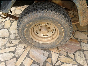 -20120618_073747-copy.jpg