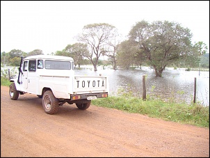 Sucessora da Bandeirante XINGU-dsc01995-large-.jpg