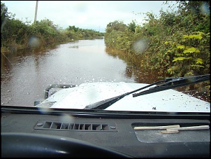 Sucessora da Bandeirante XINGU-dsc02003-large-.jpg