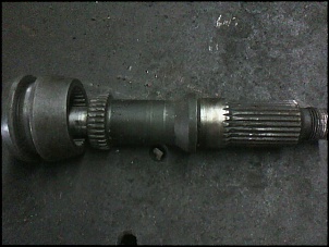 -img00227.jpg