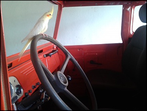 Reforma toyota 1984-20140606_161842.jpg