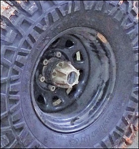 Roda Livre Band-roda-livre-warn-1.jpg