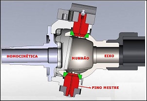 toyota passarinheira-caster-onca-3-.jpg