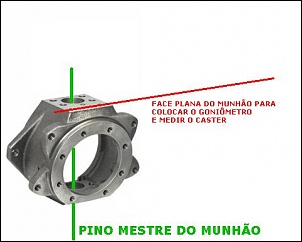 toyota passarinheira-caster-onca-4-.jpg