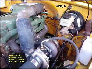 Turbina p/ Band OM314 - Qual usar?-turbo-onca-12-.jpg