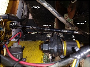 -dh-s10-24-.jpg