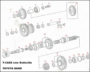 -t-case-rdz-band-1-.jpg