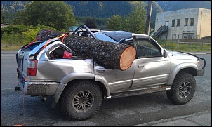 -4runner-arvore.jpg